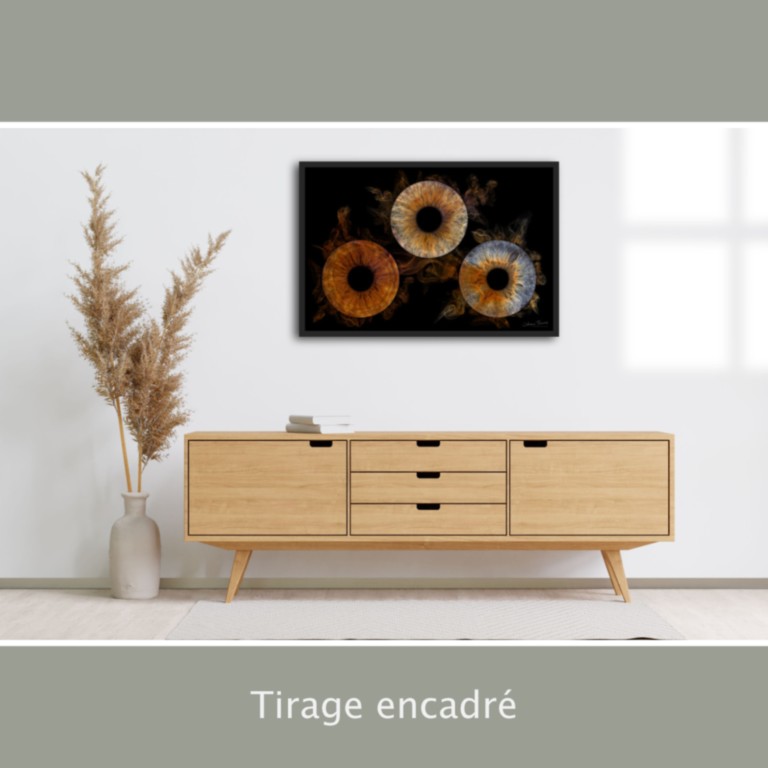 Tirage encadré - portrait d'iris