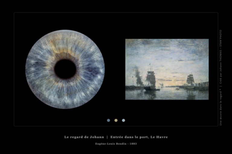 Une œuvre dans le regard © - Iris de Johann