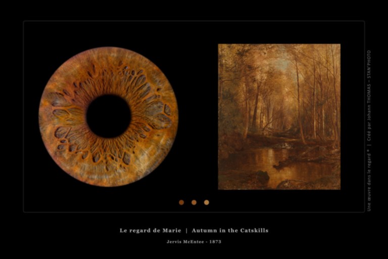 Une œuvre dans le regard © - Iris de Marie