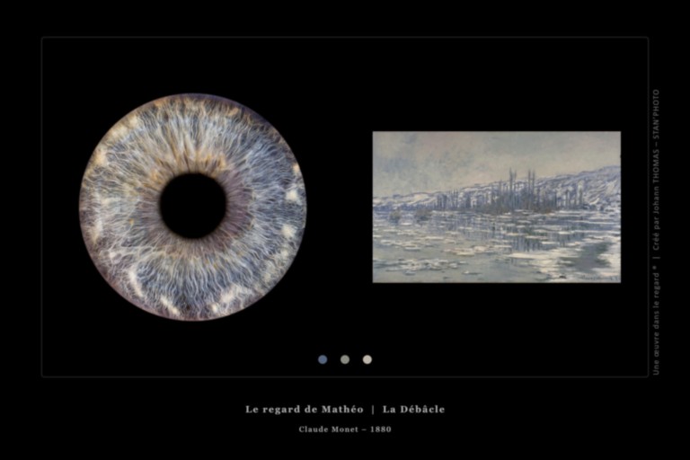 Une œuvre dans le regard © - Iris de Mathéo