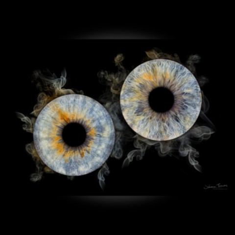 Photo d'iris "Duo"