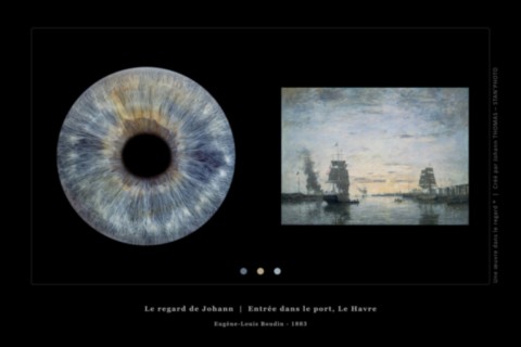 Une œuvre dans le regard © - Iris de Johann